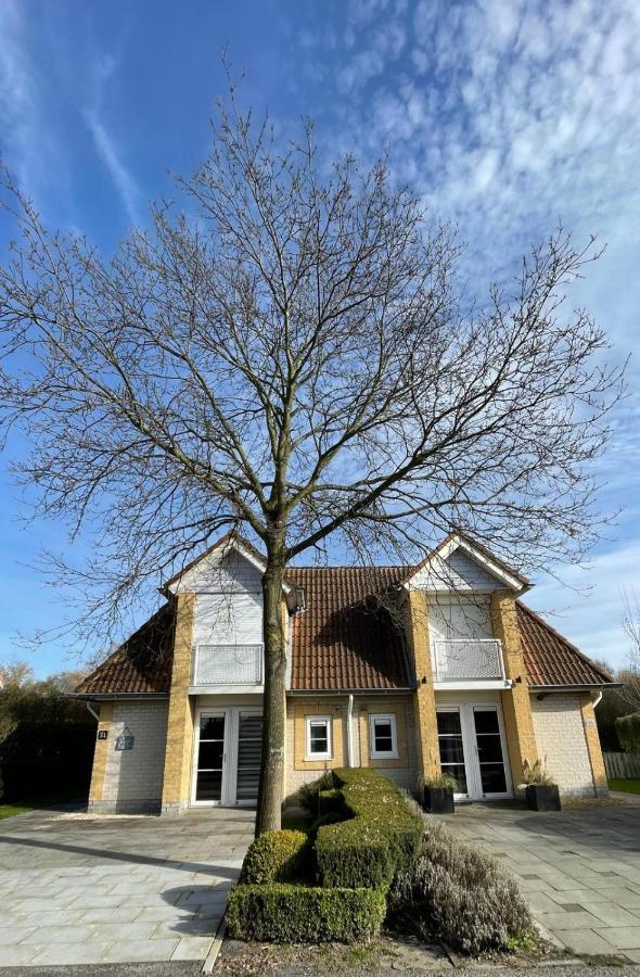 Vakantiehuis Met Luxe Tuin Dichtbij Het